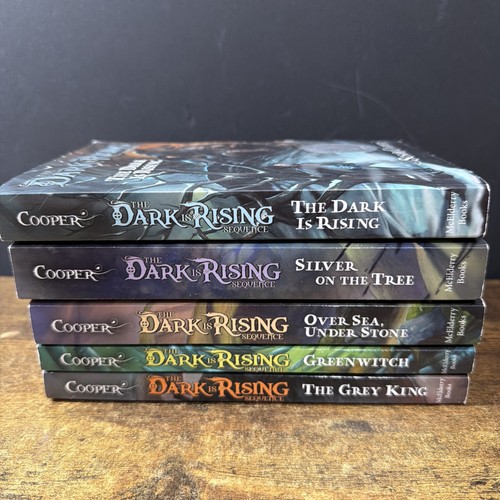 The dark rising - the,
